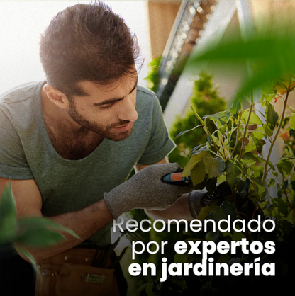 Crecimiento para plantas