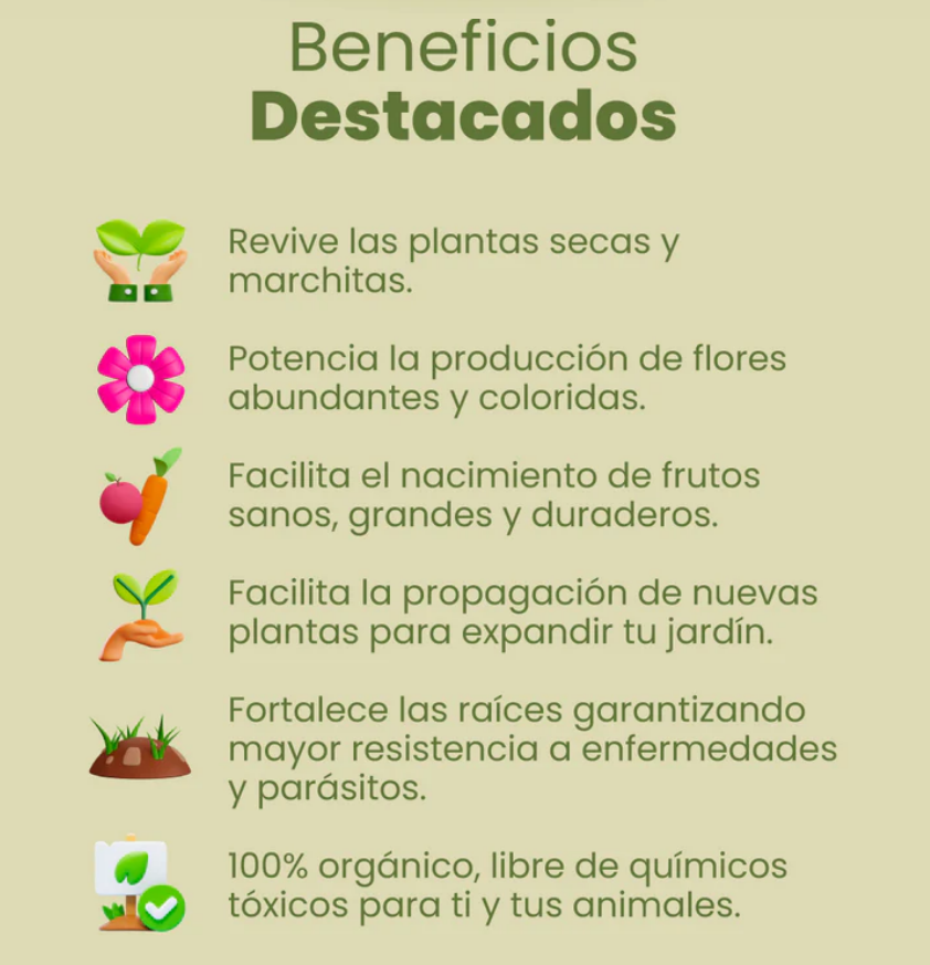 Crecimiento para plantas